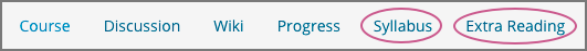 The navigation bar in the LMS with additional custom pages named "Syllabus" and "Extra Reading".